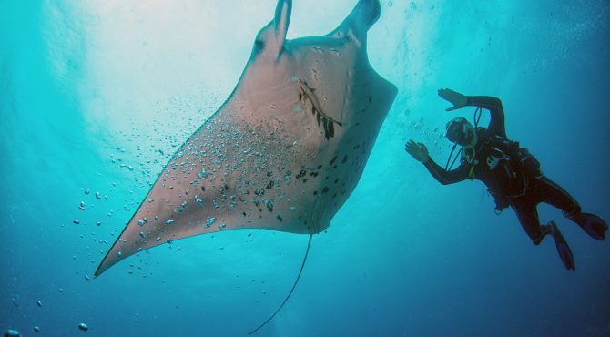 Яхта «MALDIVIANA», Маршрут Центральные атоллы 6 — 16 мая 2026 (11 дней /10 ночей)